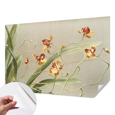 Déco papier peint salon Klasické orchidey