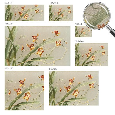 Déco papier peint salon Klasické orchidey