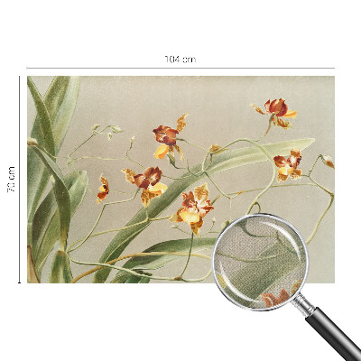 Déco papier peint salon Klasické orchidey