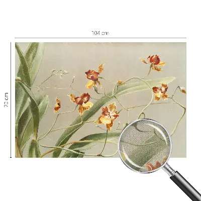 Papier peint photographique sur tissu non tissé Orchidées classiques