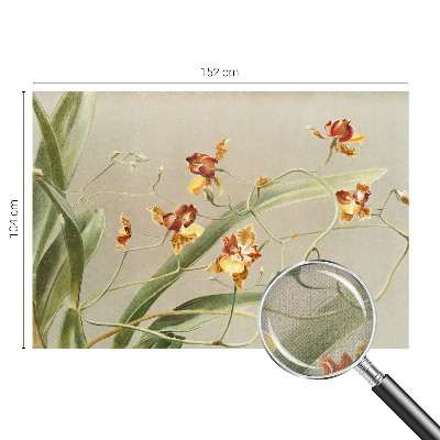 Déco papier peint salon Klasické orchidey