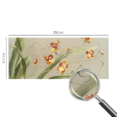 Déco papier peint salon Klasické orchidey