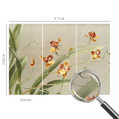 Déco papier peint salon Klasické orchidey