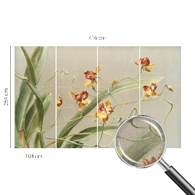 Déco papier peint salon Klasické orchidey