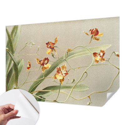 Déco papier peint salon Klasické orchidey