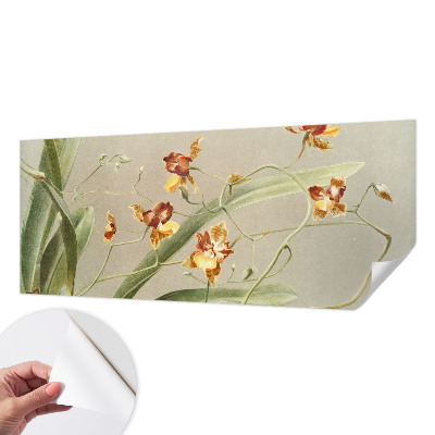 Déco papier peint salon Klasické orchidey