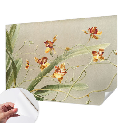 Déco papier peint salon Klasické orchidey