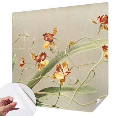 Déco papier peint salon Klasické orchidey