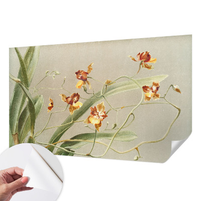 Déco papier peint salon Klasické orchidey