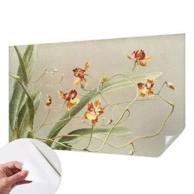 Papier peint photographique sur tissu non tissé Orchidées classiques