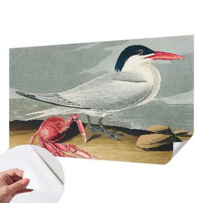 Papier peint photographique sur tissu non tissé Paysages marins