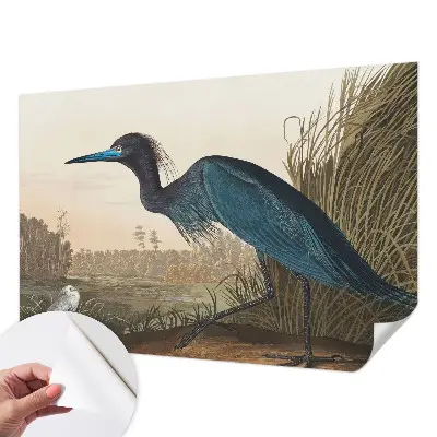 Papier peint intissé oiseaux aquatiques