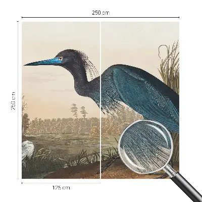 Papier peint intissé oiseaux aquatiques