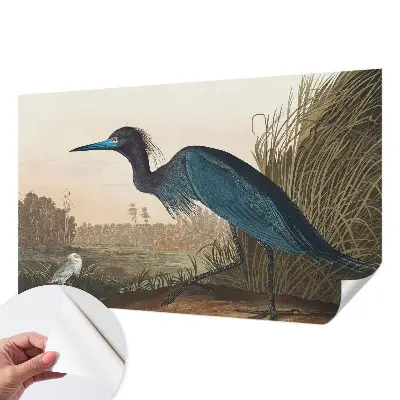 Papier peint intissé oiseaux aquatiques