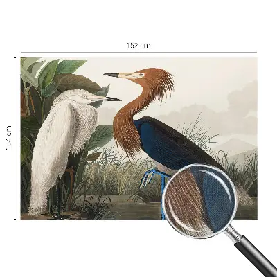 Papier peint intissé Les oiseaux dans les plantes