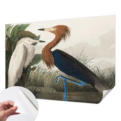 Papier peint intissé Les oiseaux dans les plantes
