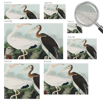 Papier peint intissé imprimé couple d'oiseaux