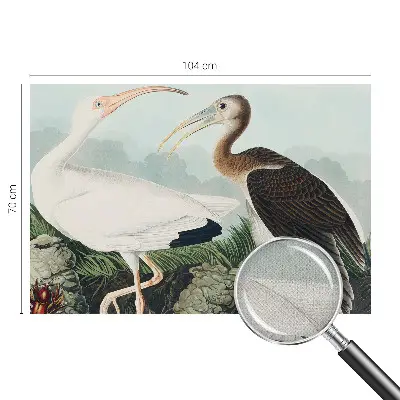 Papier peint intissé imprimé couple d'oiseaux