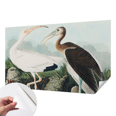 Papier peint panoramique pas cher Vtáčí pár