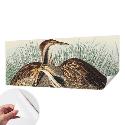 Papier peint panoramique adhésif Realistické vtáky
