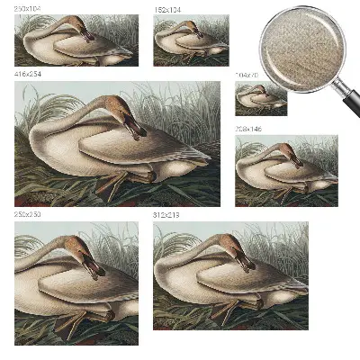 Papier peint photo sur tissu non tissé Oiseau naturel