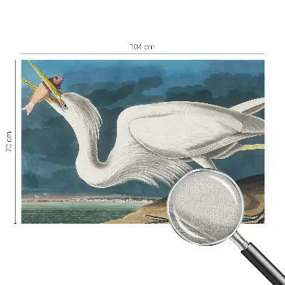 Papier peint photo grand format pour le mur Oiseau avec poisson