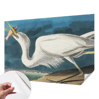 Papier peint photo grand format pour le mur Oiseau avec poisson