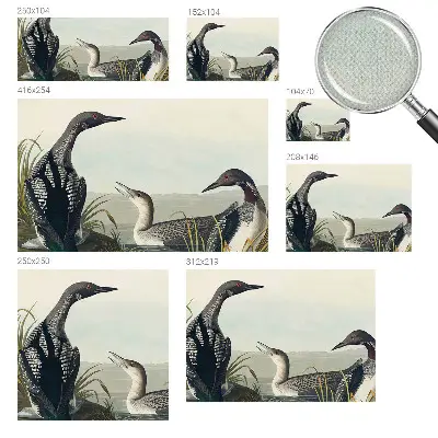Papier peint photo imprimé sur tissu non tissé Oiseaux au-dessus de l'eau