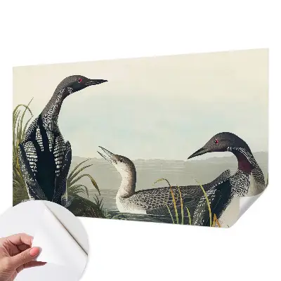 Papier peint photo imprimé sur tissu non tissé Oiseaux au-dessus de l'eau