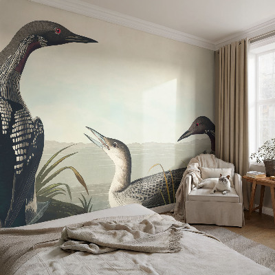 Papier peint chambre parentale Vtáky nad vodou