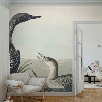 Papier peint chambre parentale Vtáky nad vodou
