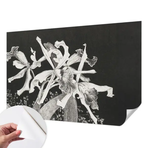 Papier peint photographique sur tissu non tissé Illustration d'orchidée
