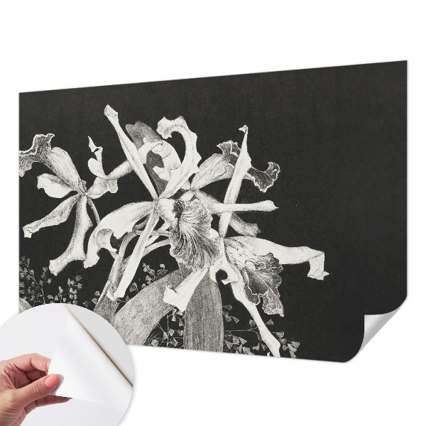 Papier peint chambre ado Ilustrácia orchidey