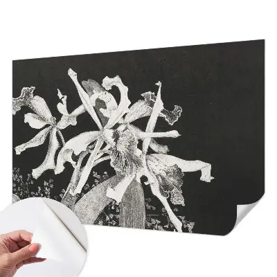 Papier peint photographique sur tissu non tissé Illustration d'orchidée