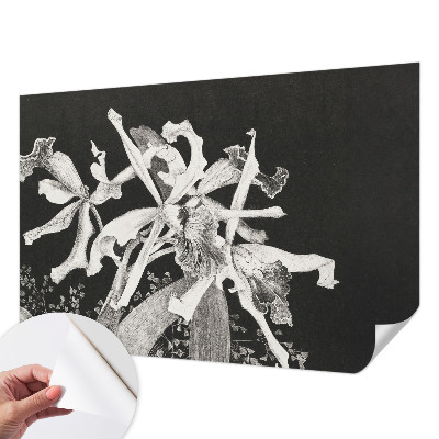 Papier peint chambre ado Ilustrácia orchidey