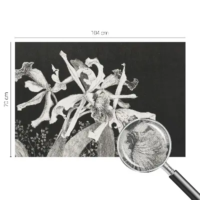 Papier peint photographique sur tissu non tissé Illustration d'orchidée