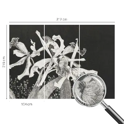 Papier peint photographique sur tissu non tissé Illustration d'orchidée