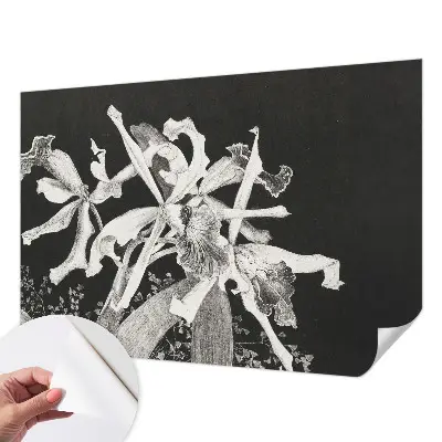 Papier peint photographique sur tissu non tissé Illustration d'orchidée