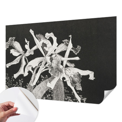 Papier peint chambre ado Ilustrácia orchidey