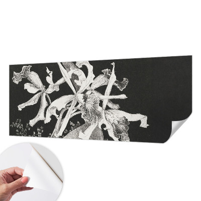 Papier peint chambre ado Ilustrácia orchidey