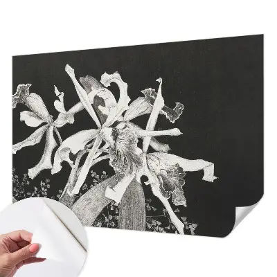 Papier peint photographique sur tissu non tissé Illustration d'orchidée