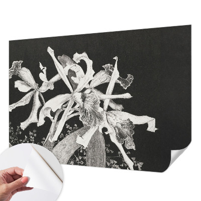 Papier peint chambre ado Ilustrácia orchidey