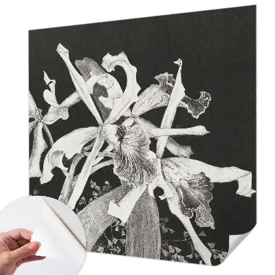 Papier peint photographique sur tissu non tissé Illustration d'orchidée