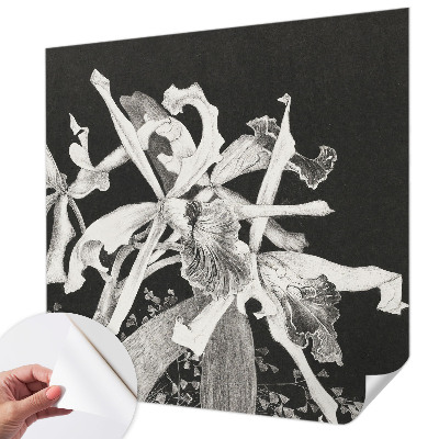 Papier peint chambre ado Ilustrácia orchidey
