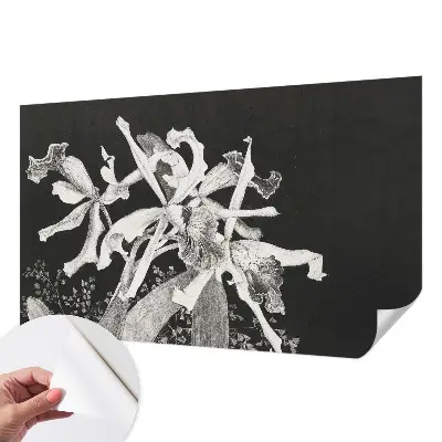 Papier peint photographique sur tissu non tissé Illustration d'orchidée