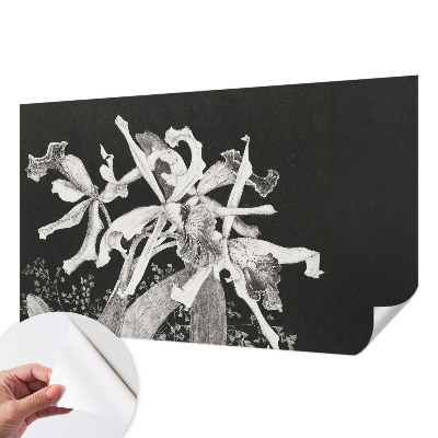 Papier peint chambre ado Ilustrácia orchidey