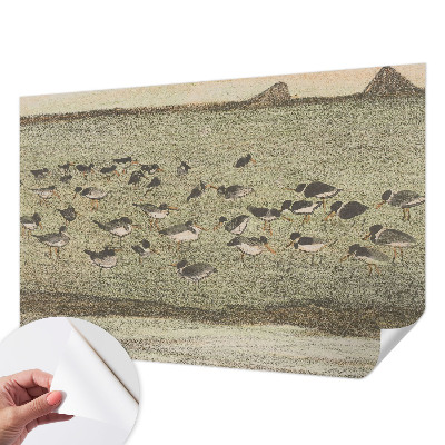 Papier peint panoramique adhésif Vtáčí pokoj