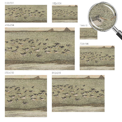 Papier peint panoramique adhésif Vtáčí pokoj