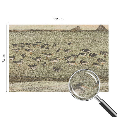 Papier peint panoramique adhésif Vtáčí pokoj