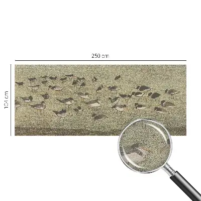 Papier peint photo grand format pour le mur La paix des oiseaux